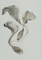 http://www.actionaqua.com/files/gimgs/th-105_glashaus 3invert.jpg
